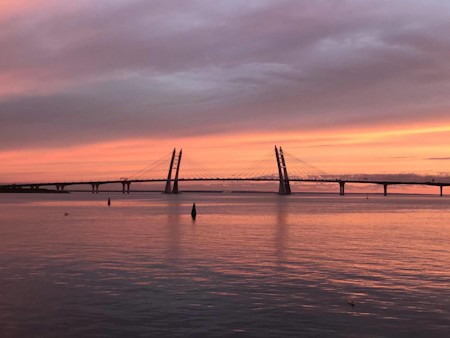 Animal, Bird, Bridge, Building, Cityscape, Horizon, Nature, Outdoors, Sky, Urban