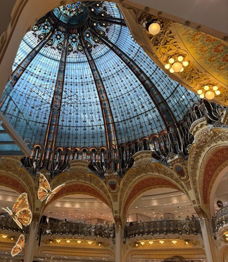 Under the dome
