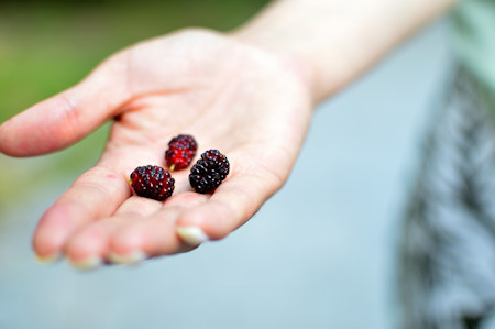 Berry