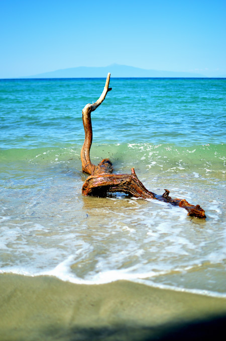 Beach, Coast, Driftwood, Nature, Outdoors, Sea, Shoreline, Water, Wood