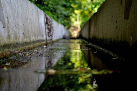 Canal