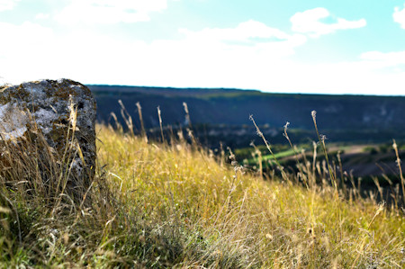 Field