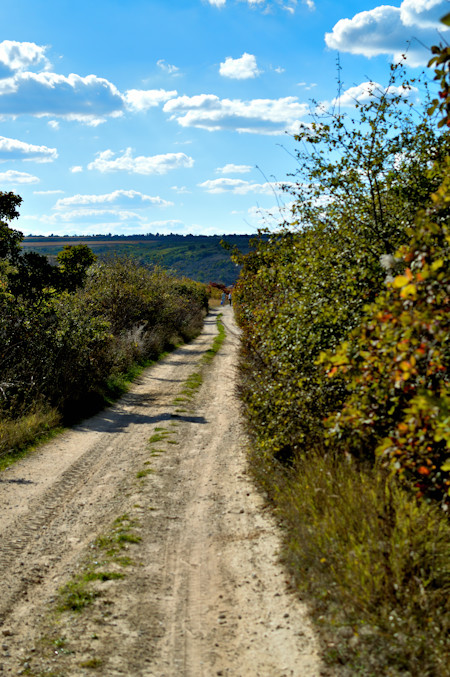 Gravel