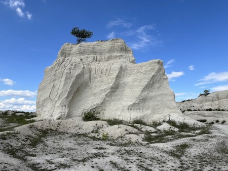 Cliff, Nature, Outdoors, Plant