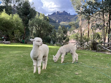 Peru