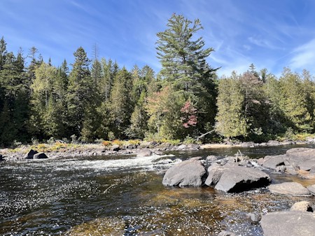 Creek, Fir, Nature, Outdoors, Scenery, Stream, Tree, Vegetation, Water, Wilderness