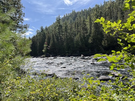 Conifer, Creek, Fir, Nature, Outdoors, Stream, Tree, Vegetation, Water, Wilderness