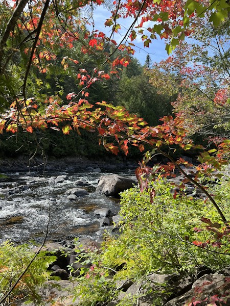 Creek