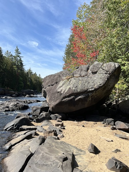 Creek, Fir, Nature, Outdoors, Rock, Rubble, Slate, Tree, Water, Wilderness
