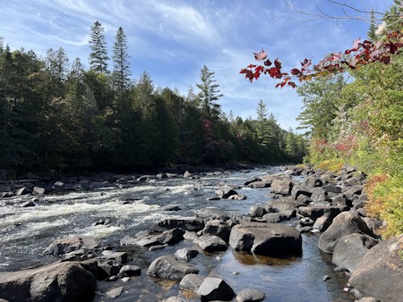 Creek, Fir, Nature, Outdoors, Penguin, Rubble, Stream, Tree, Water, Wilderness