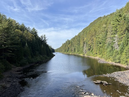 Creek, Fir, Gravel, Nature, Outdoors, Plant, Scenery, Tree, Water, Wilderness
