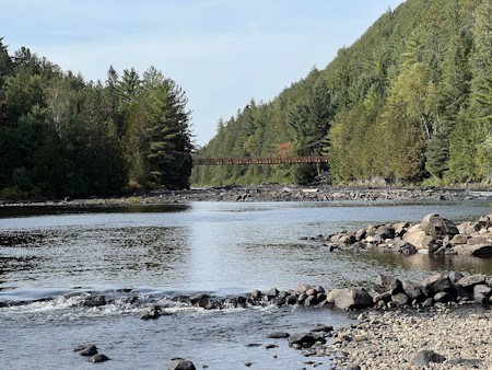 Bird, Creek, Fir, Nature, Outdoors, Scenery, Tree, Vegetation, Water, Wilderness
