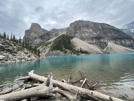 Driftwood, Fir, Lake, Nature, Outdoors, Scenery, Tree, Water, Wilderness, Wood