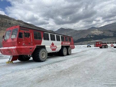 Bus, Car, Machine, Transportation, Vehicle, Wheel