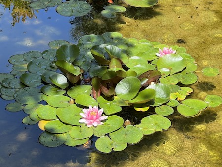 The Butchart Gardens