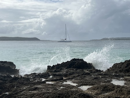 Bird, Boat, Nature, Outdoors, Sailboat, Sea, Sea Waves, Vehicle, Water, Watercraft