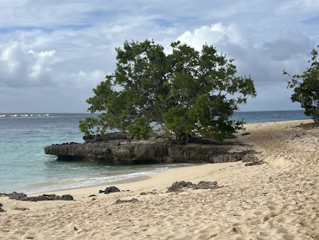 Beach, Coast, Land, Nature, Outdoors, Scenery, Sea, Shoreline, Summer, Water