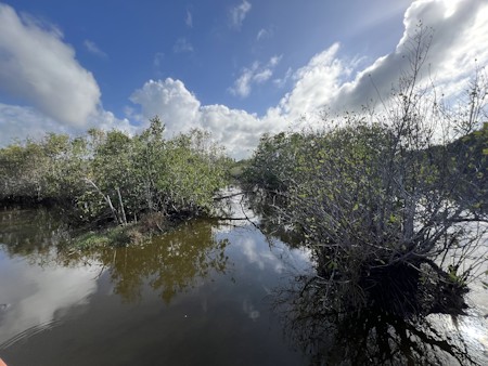 Cumulus, Land, Nature, Outdoors, Pond, Sky, Swamp, Vegetation, Water, Weather