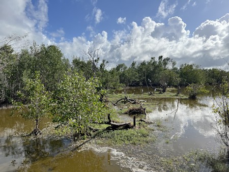Cuba
