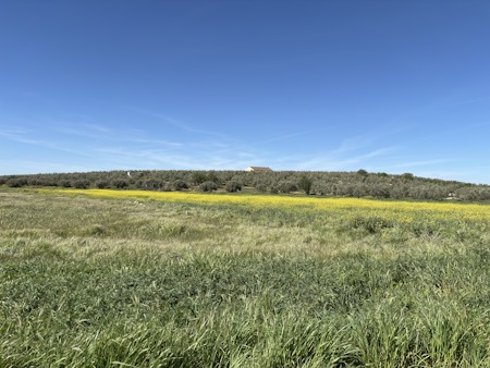 Countryside