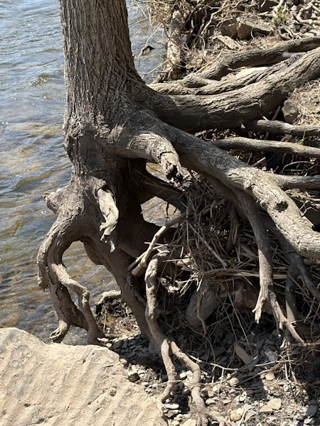 Natures