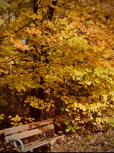 Autumn