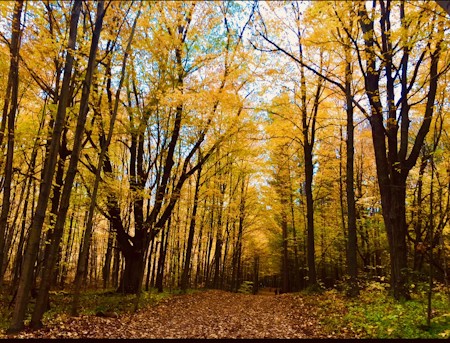 Autumn
