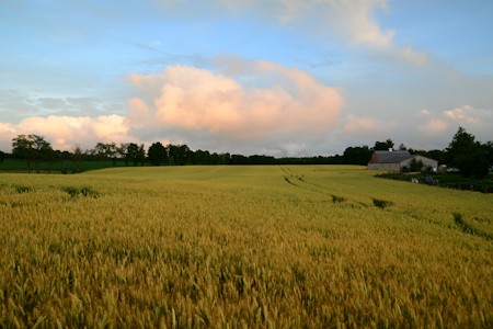 Countryside