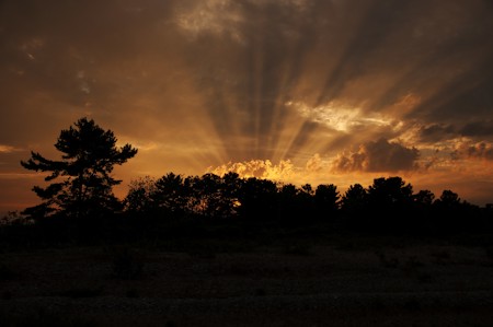 Beautiful Sunset