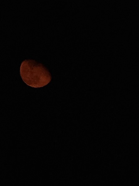 Astronomy