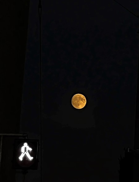 This picture i took while the pedestrian sign was illuminated and also the moon was aligned so i clicked it as honours to Michael Jackson’ Moon walk moves