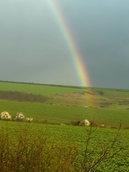 Field, Grass, Grassland, Landscape, Nature, Outdoors, Pasture, Rainbow, Scenery, Sky