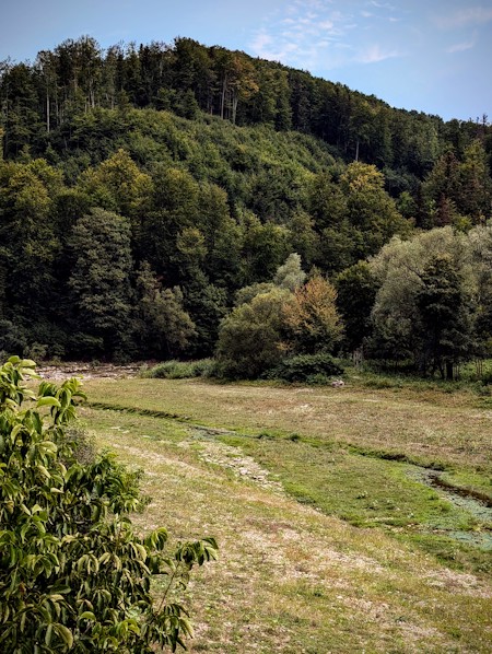 A landscape with a forrest from the hills