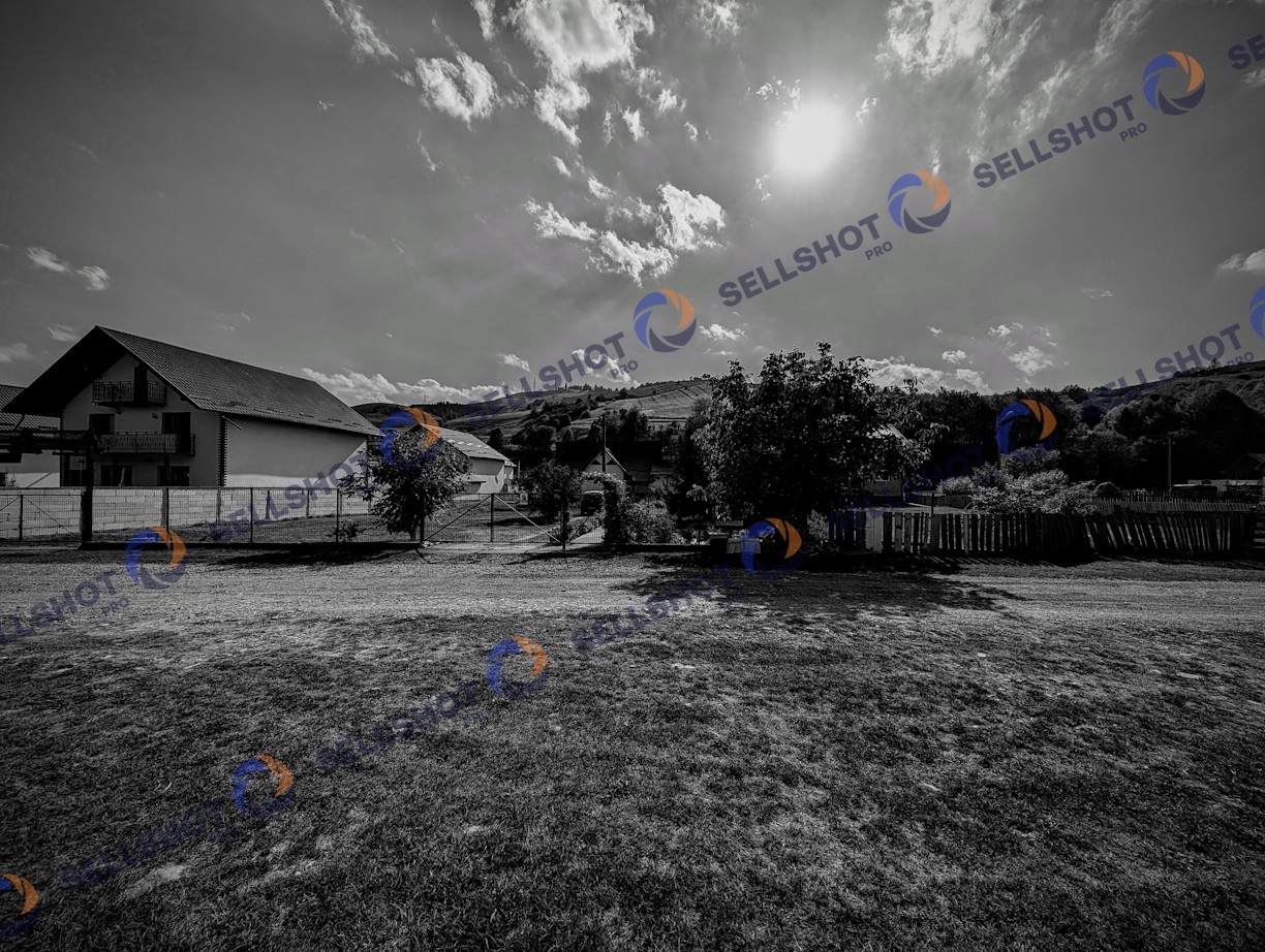 B&W Countryside View