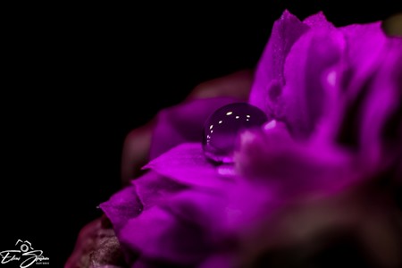 Droplet
