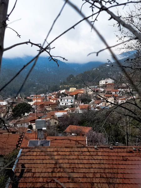 Animal, Architecture, Bird, Building, Cityscape, Cyprus village fog hills landscapes, House, Housing, Roof, Tile Roof, Urban