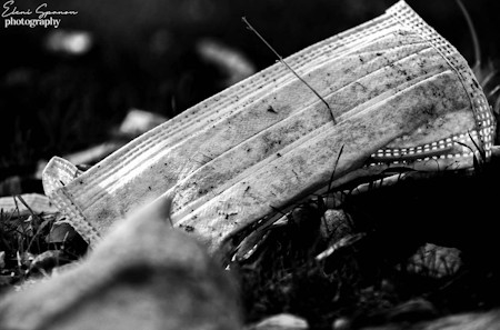 Echoes of a Pandemic