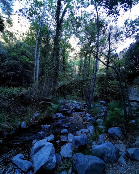 Creek