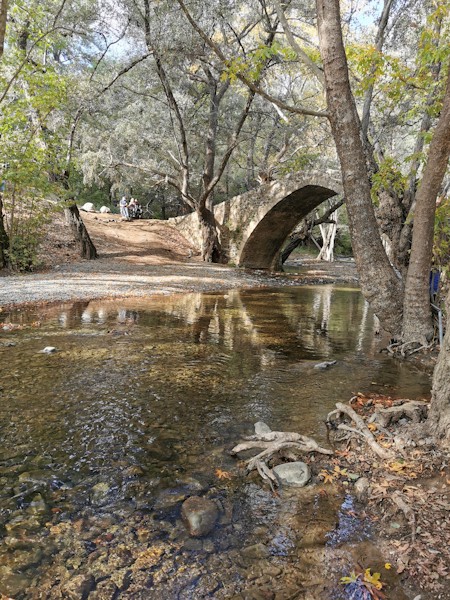 Bridge