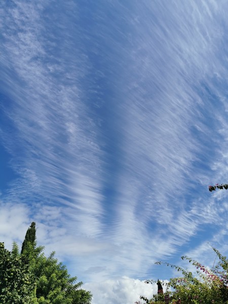 Sky