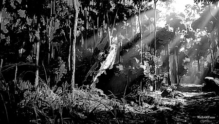 A Digital pic of a stump in the bush