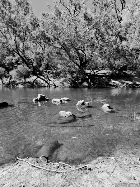 Creek