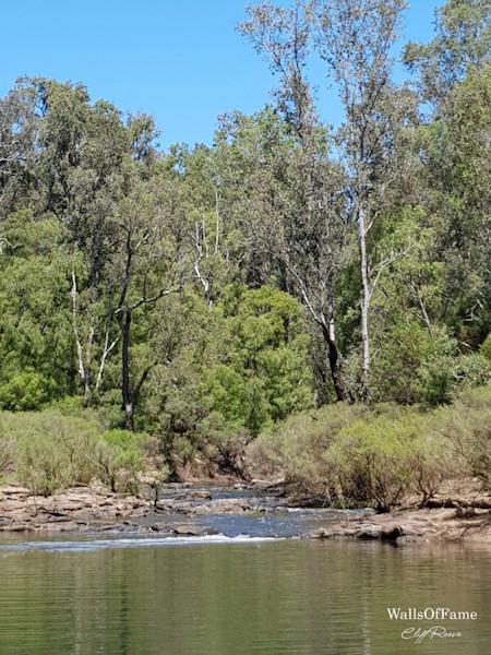 Creek