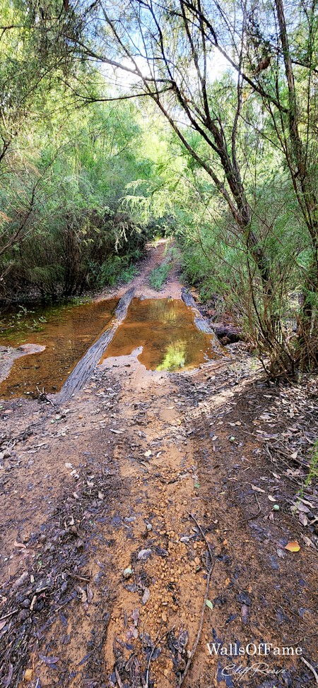 Another scene from the Blackwood River in Western Australia. Part of a series from WallsOfFameAust