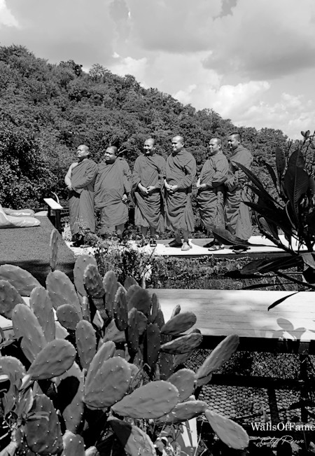 Monks enjoying their day at their complex on the river. Taken Oct '24. WallsOffameAust