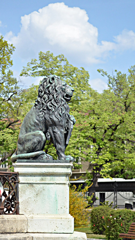 Lion statue in Baroque Center of Oradea