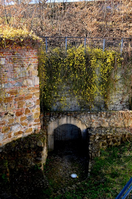 Arch