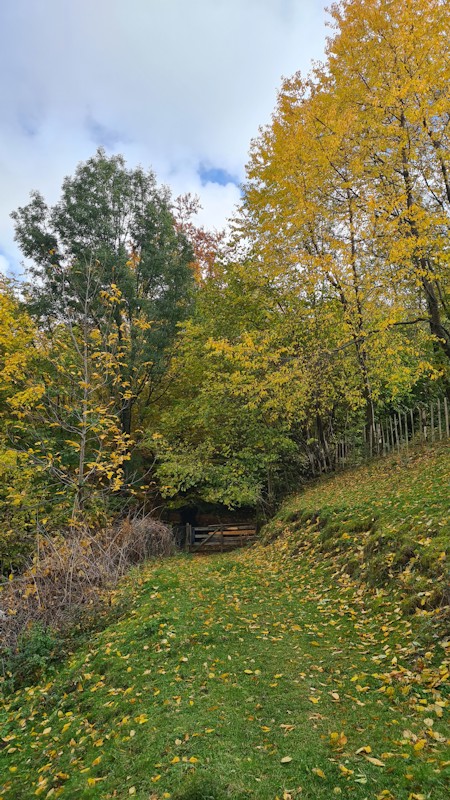 Gate to nature