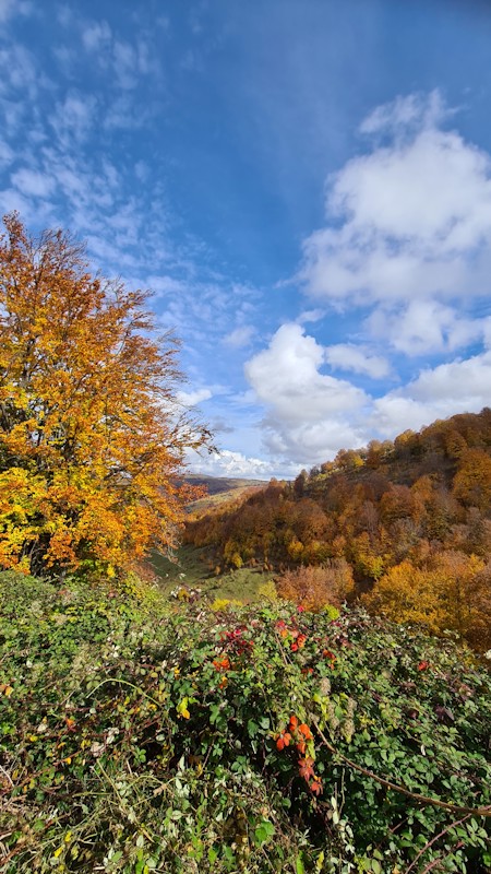 Beginning of fall