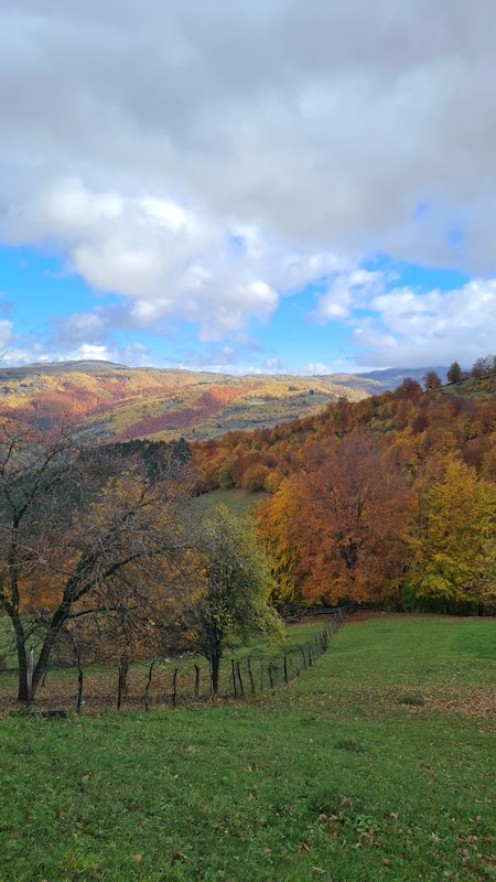 Nature in autumn